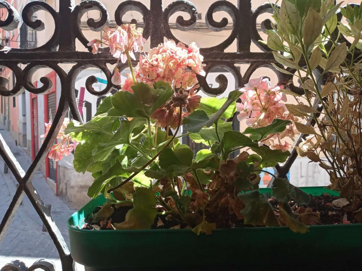 Apartamento Lavapies Al Lado Del Rastro 마드리드 외부 사진