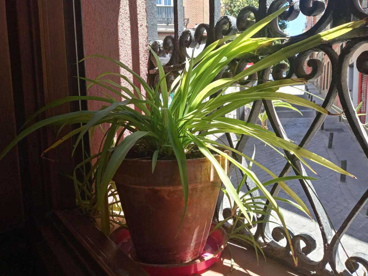Apartamento Lavapies Al Lado Del Rastro 마드리드 외부 사진